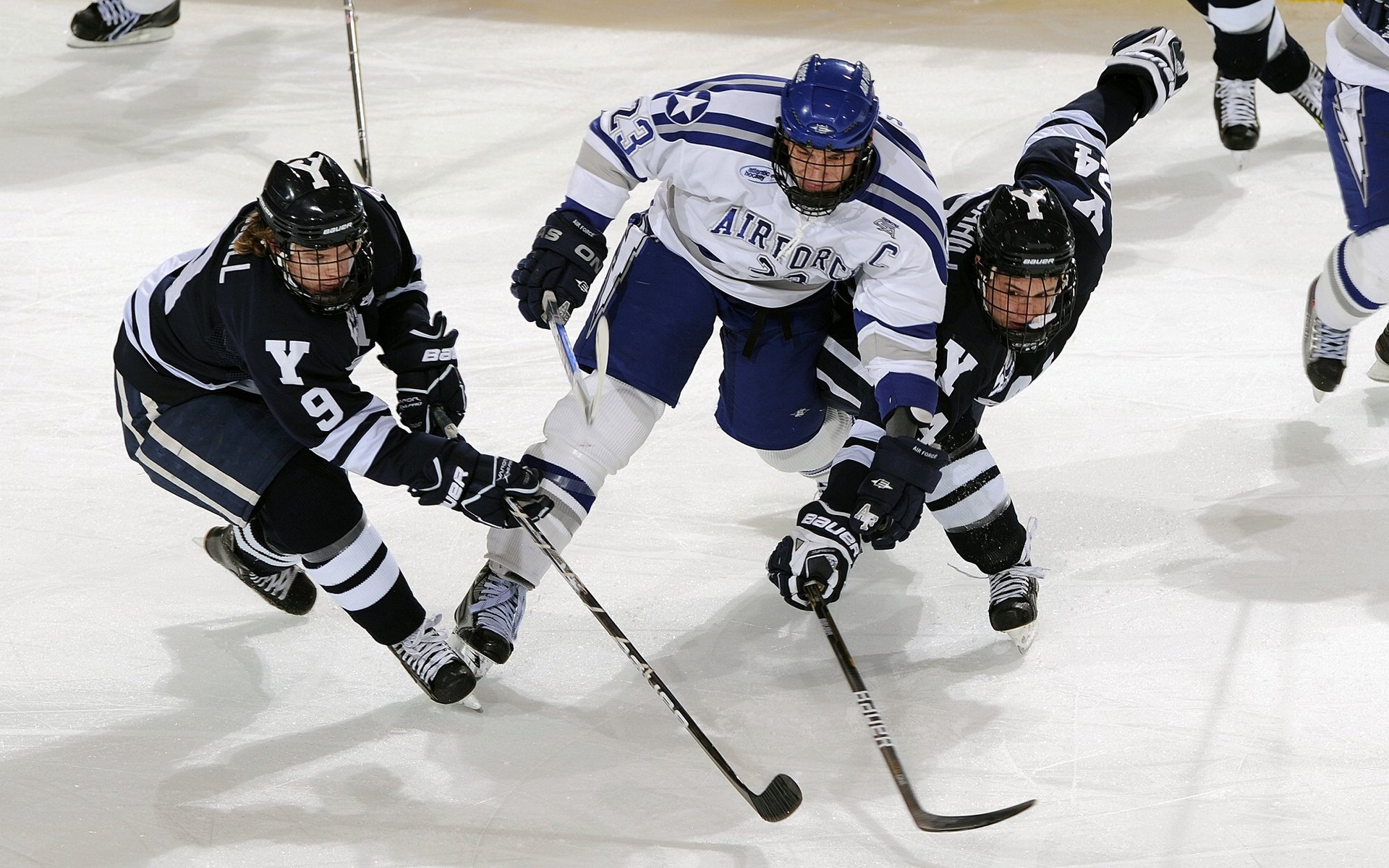伤病更新与复出时间预测，伤病概念