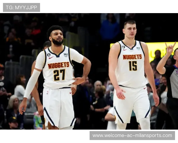 热火vs掘金:数据分析与技术预测,热火队的比赛