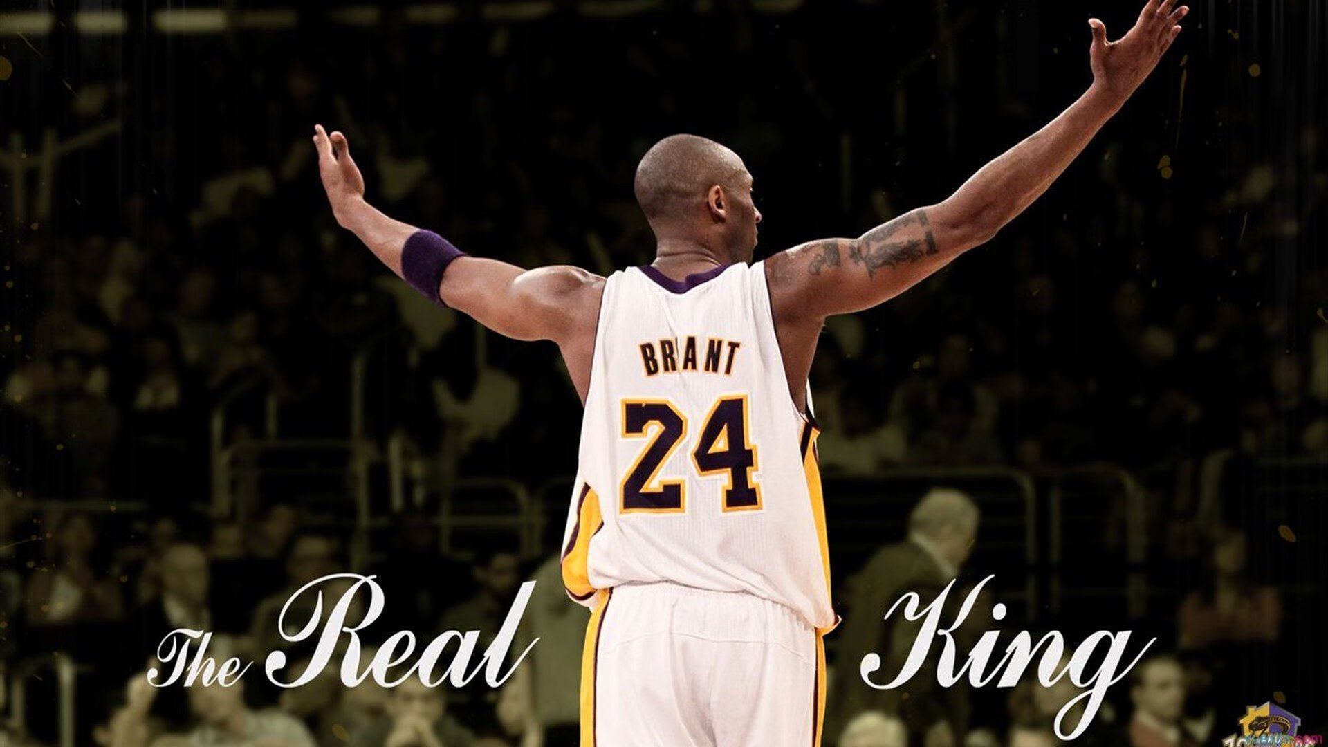 AC MILAN APP-CBA联赛的故事充满感动与力量，cba经典事件